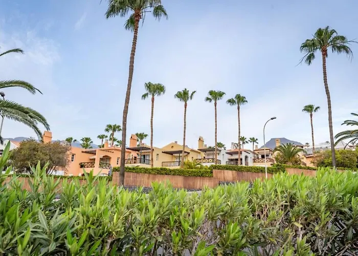 Mango 25 Bahia Del Duque